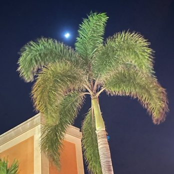 Alexander's Restaurant - Modern European Near Me - Naples, Florida