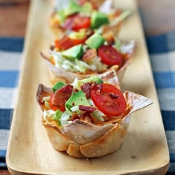 Family Affair Catering and Event Planning Company - Wonton Chicken Bites