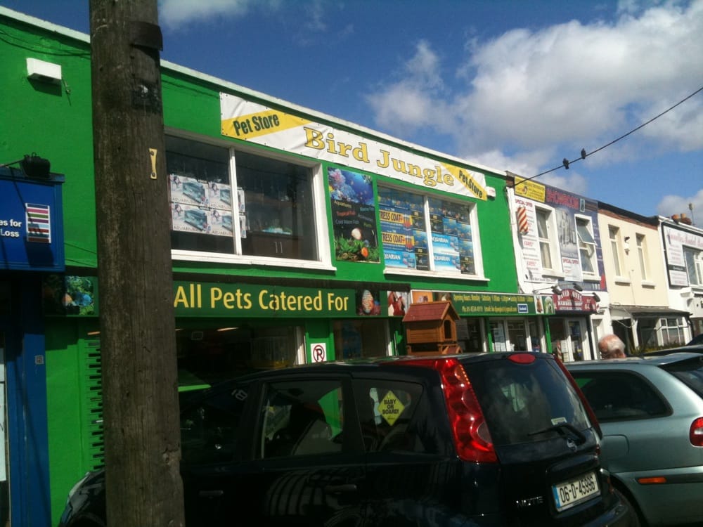 BIRD JUNGLE Updated October 2024 194 Crumlin Road, Dublin, Republic