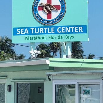 The Turtle Hospital - Veterinarians Near Me - Marathon, Florida