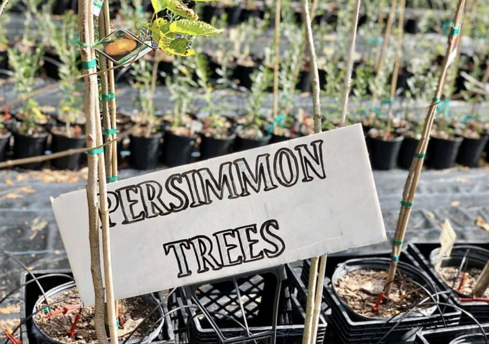 QUALITY GREEN SPECIALISTS 17 Photos 335 W Michigan Ave, Deland