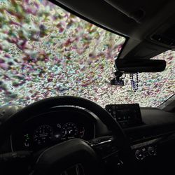 Elephant Car Wash