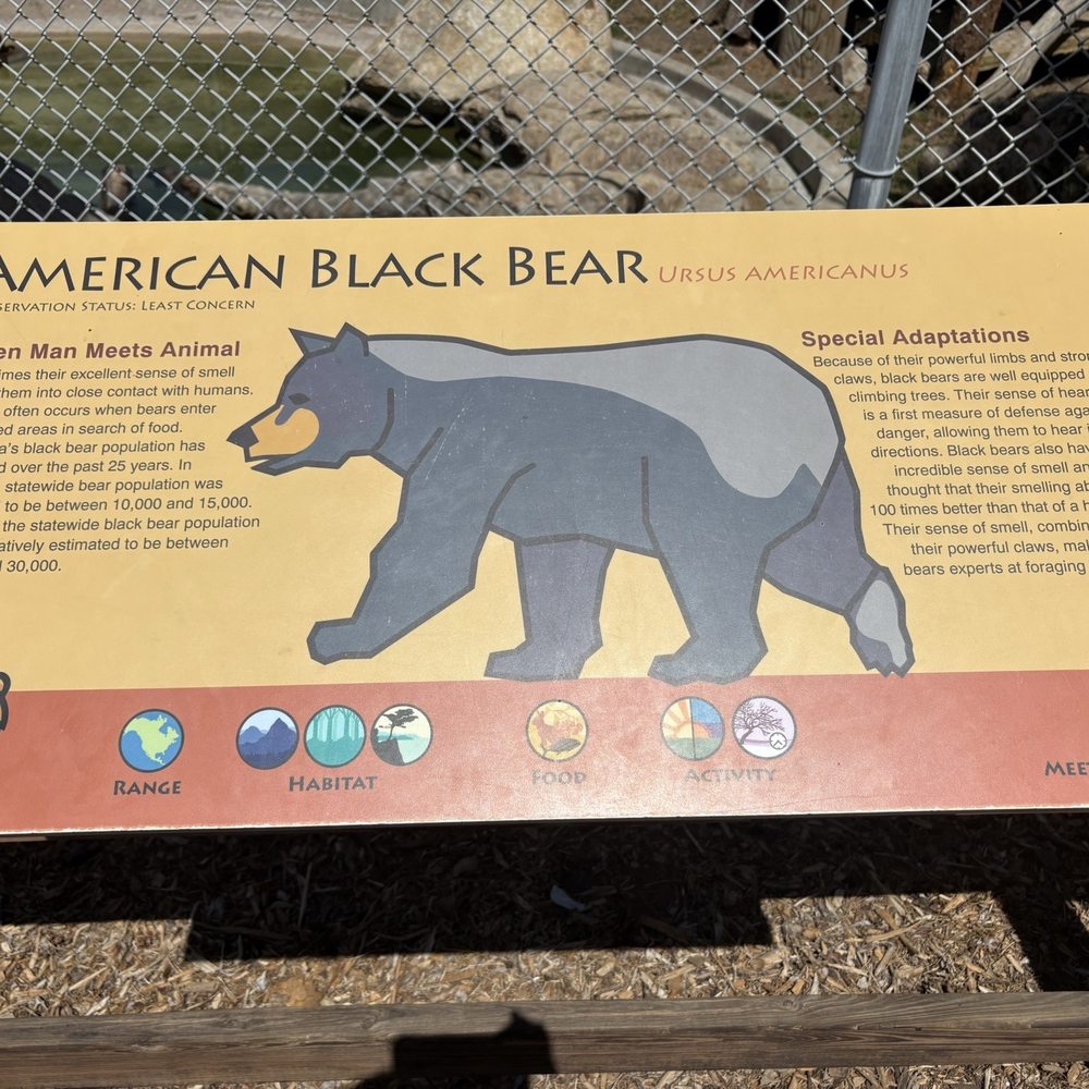 Big Bear Alpine Zoo - Information about animals in the zoo - Zoos Near Me - Big Bear Lake, California Big Bear Alpine Zoo - Information about animals in the zoo - Zoos Near Me - Big Bear Lake, California