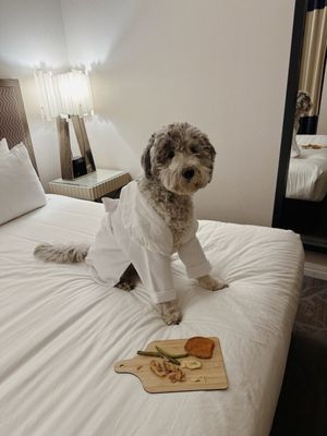 Kimpton Hotel Palomar Philadelphia by null