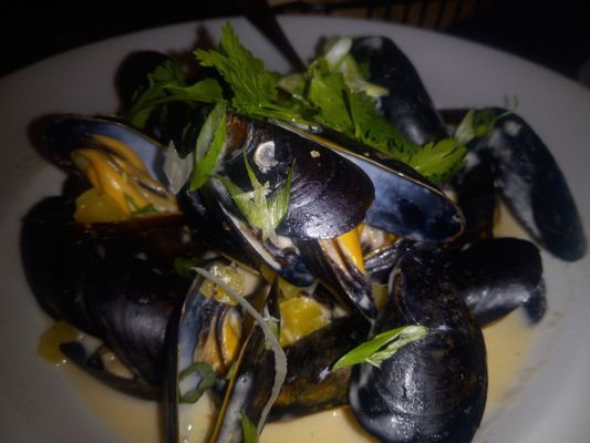 City Cellar Wine Bar & Grill by null