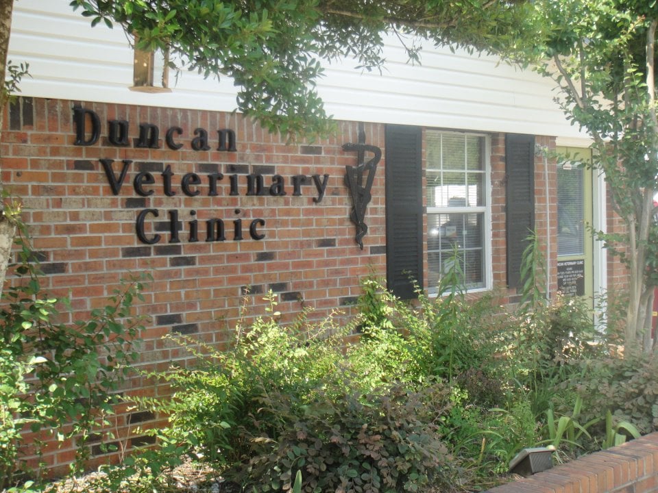 DUNCAN VETERINARY CLINIC 3387 E Roane Ave, Eupora, Mississippi