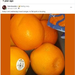 Hy-Vee - Large bruises on almost avery orange on the shelf