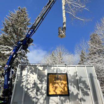 Timber Stand Improvement - Tree Services Near Me