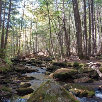 Jagolinzer Preserve - Hiking Near Me - Limington, Maine