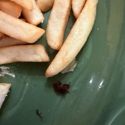 Hacienda Guadalajara - They serve fried bugs