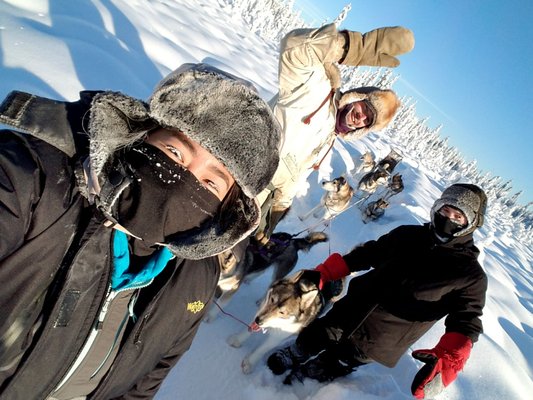 Alaska Homestead Adventures by null