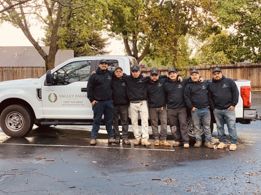 Valley Falls Tree Care 347 Photos 108 Reviews Tree Services Vacaville Ca Phone Number Yelp