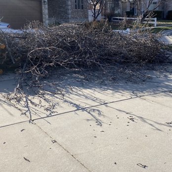 Affordable Junk Removal - Tree branches & limbs - Junk Removal & Hauling Near Me - West Valley City, Utah