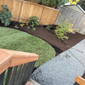 Escobar Landscape & Irrigation - Walkways, backyard sod, irrigation, tree trimming, and relocating a maple with bark put down to finish it off! - Landscaping Near Me Escobar Landscape & Irrigation - Walkways, backyard sod, irrigation, tree trimming, and relocating a maple with bark put down to finish it off! - Landscaping Near Me