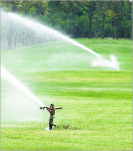 Slide of Jersey Shore Lawn Sprinkler