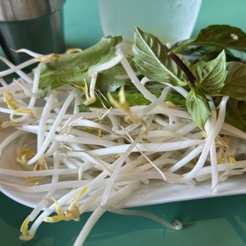 Pho House - Look at the freshness of everything! - Vietnamese Near Me - Duluth, Georgia