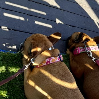 HORATIO’S - Updated June 2024 - 2592 Photos & 1672 Reviews - 60 Monarch ...