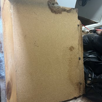 Haver Hill Apartments - Green and grey mold on back of wood panel - Apartments Near Me - Fullerton, California Haver Hill Apartments - Green and grey mold on back of wood panel - Apartments Near Me - Fullerton, California