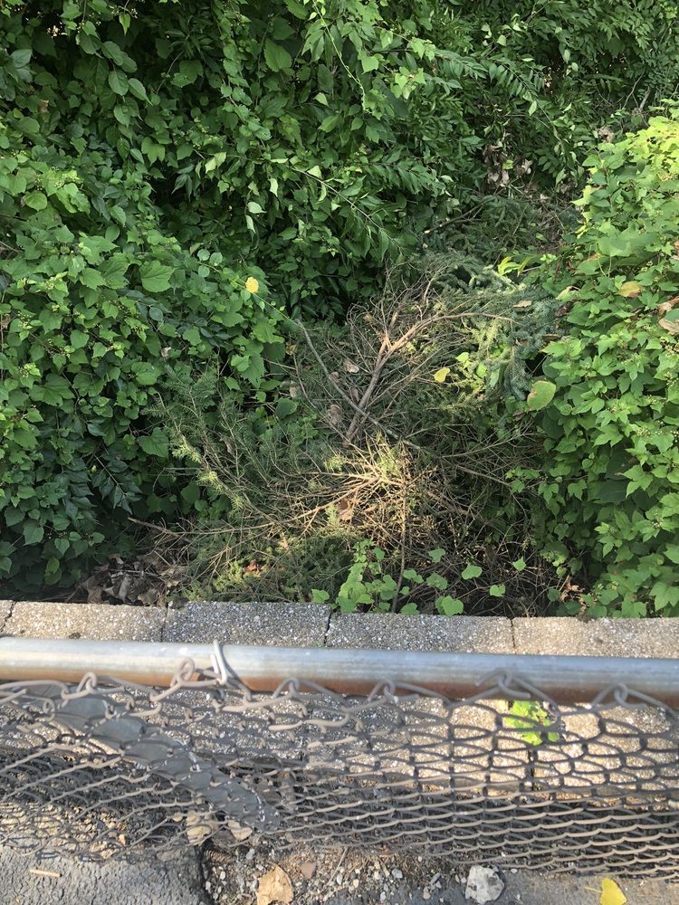 BRIGHTVIEW LANDSCAPING Updated August 2024 20 Photos 50 Intervale