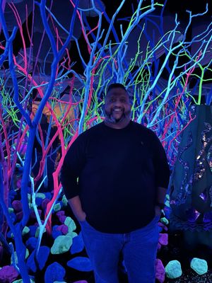 Meow Wolf Houston | Radio Tave by null