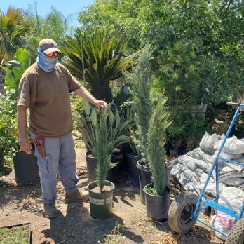DLM Nursery - Nurseries & Gardening Near Me - Winchester, California