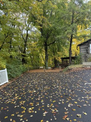 The Mad Herbalist by null