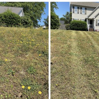 Dogwood Lawn Maintenance - A Freshly Serviced Yard - Landscaping Near Me Dogwood Lawn Maintenance - A Freshly Serviced Yard - Landscaping Near Me
