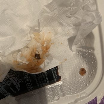 Panda King Restaurant - As you can see the roach!! Sick - Chinese Near Me - Flushing, New York
