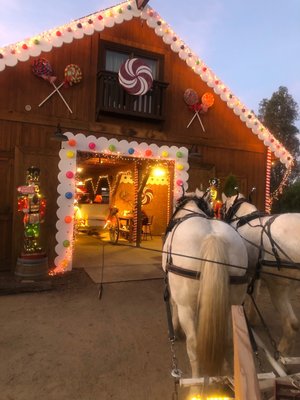 Temecula carriage company by null