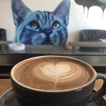 Cat & Craft - Coffee & Tea Near Me - Vista, California Cat & Craft - Coffee & Tea Near Me - Vista, California