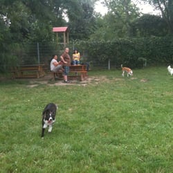 Hundezone