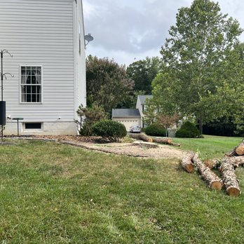 Maryland Tree Experts - Cleaned and cleared River Birch area on house corner - Tree Services Near Me - White Marsh, Maryland Maryland Tree Experts - Cleaned and cleared River Birch area on house corner - Tree Services Near Me - White Marsh, Maryland