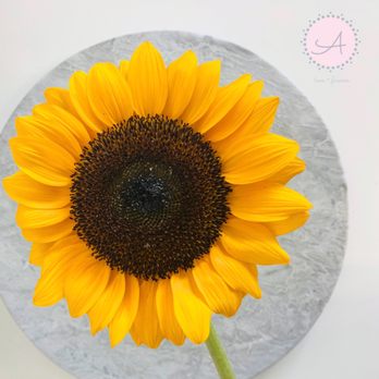 Anemone Box - Sunflower - Florists Near Me - Caguas, Puerto Rico Anemone Box - Sunflower - Florists Near Me - Caguas, Puerto Rico