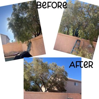 DeSantiago Landscape Services - 04/29/2026 yard clean up - Landscaping Near Me DeSantiago Landscape Services - 04/29/2026 yard clean up - Landscaping Near Me