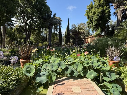 Ganna Walska Lotusland by null