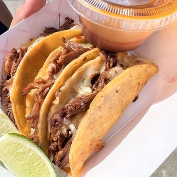 Axo - Birria tacos from Clementon Park - Tacos Near Me - Lindenwold, New Jersey