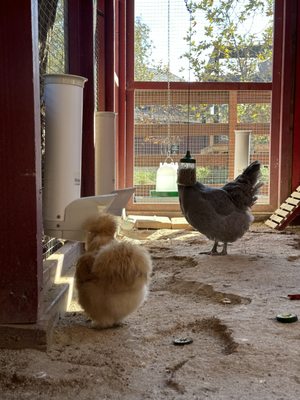 River Street Ranch by null