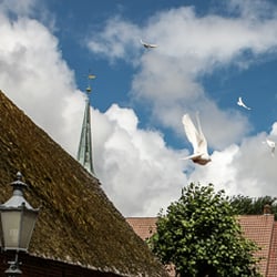Museum der Landschaft Eiderstedt