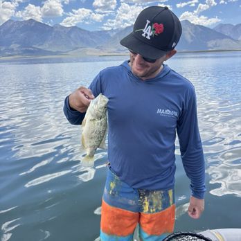Crowley Lake Fish Camp - Boating Near Me - Mammoth Lakes, California