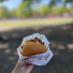 Red Light Chicken - Hot and honey chicken sandwich