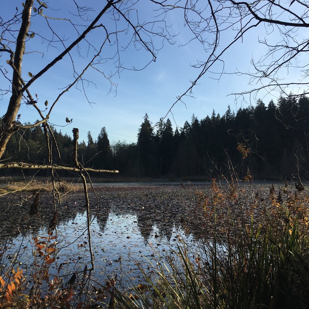 Beaver Lake - The small pond - Parks Near Me - Vancouver, British Columbia
