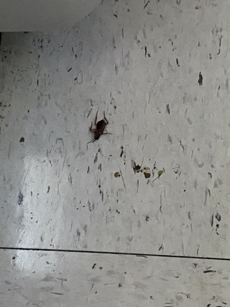 MENORAH HOUSE Updated September 2024 35 Photos & 19 Reviews 9945 Central Park Blvd N, Boca