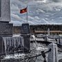 Photo of Carolina Field Of Honor