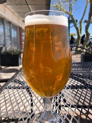 Oro Brewing Company by null