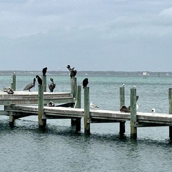 Dewey Destin Seafood - The pier next to the pier we ate on. Cool to watch and hear all the different sea birds. And the water is so clear and beautiful. - Seafood Near Me - Destin, Florida