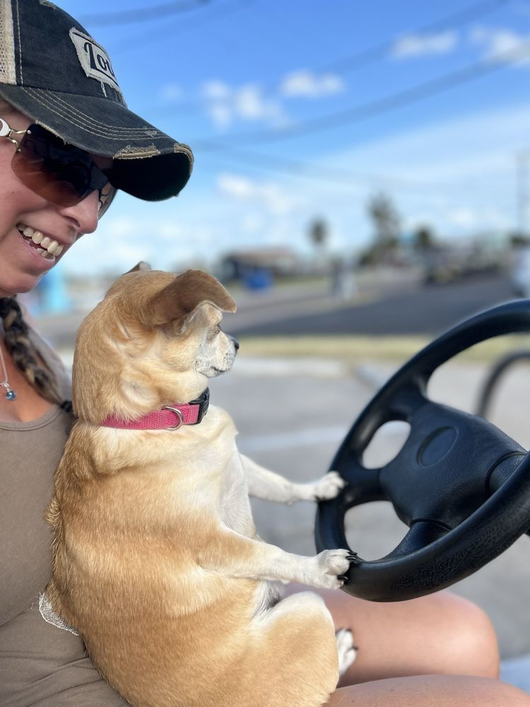 Kooks Beach Rentals Logo