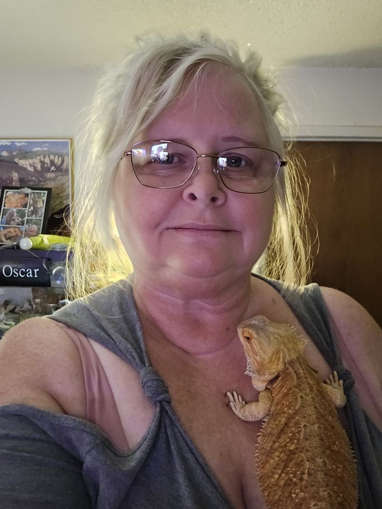 Donna's Discoids - reptile breeding in Ocala, FL