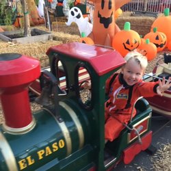 Pumpkin City's Pumpkin Farm 
