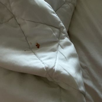 Tru by Hilton St. George - Filthy comforter that I pulled back at this what was on it. Yuck - Hotels Near Me - St George, Utah Tru by Hilton St. George - Filthy comforter that I pulled back at this what was on it. Yuck - Hotels Near Me - St George, Utah