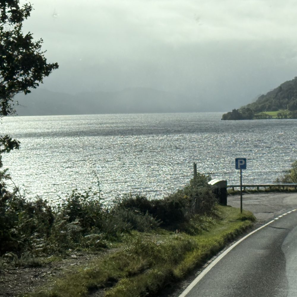 Loch Ness - Local Flavor Near Me Loch Ness - Local Flavor Near Me